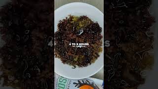 How to make Irish sea moss gel Chondrus Crispus species seamossgel irishseamoss vegan food [upl. by Eniwtna]