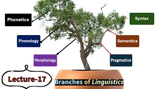 Lecture17 Branches of Linguistics Phonetics Phonology Morphology Syntax Semantics etc [upl. by Ripp]