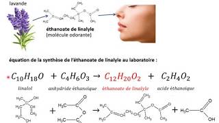 1ère spé La synthèse despèces chimiques organiques le cours [upl. by Gertrud]