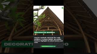 Function Vs Decorative Bamboo bambooarchitecture bambooconstruction bamboo [upl. by Dittman883]