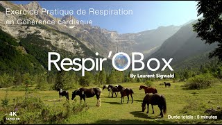 Exercice de respiration by Laurent Sigwald cohérence cardiaque  La Prairie du Cirque de Gavarnie [upl. by Odama]