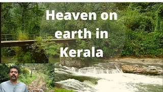 Aanakulam Diaries Munnar Kerala waterfallstrekkingcottageshomestayMunnar vlogWestern ghats [upl. by Goober]