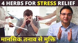 7 दिन में Stress Anxiety और Depression दूर करें इन 4 नेचुरल जड़ी बूटियों से  Stress Relieving Herbs [upl. by Ahsined]