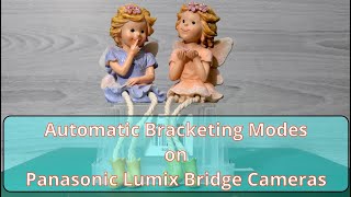 Automatic Bracketing Modes on Panasonic Lumix Bridge Cameras [upl. by Vanden603]