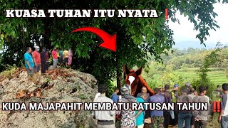 Viral❗ kuda Majapahit membatu ratusan tahun dipegunungan welirang [upl. by Ynohtnaed577]