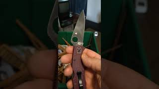 Week One Spyderco Endura Sprint In Micromelt PD1 Testing edc shorts edcknives blade [upl. by Spalla114]