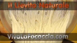 Ricetta per Fare il Lievito Naturale Lievito Madre LiCoLi o Pasta Madre in Casa [upl. by Anasus]