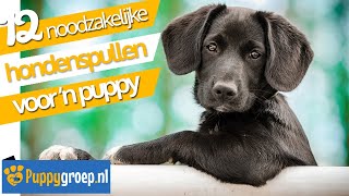 Hondenspullen Welke 12 Puppy Spullen zijn Nodig voor een Puppy Tips van expert Alexandra Wilkinson [upl. by Napas459]