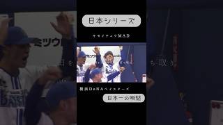 【日本シリーズ2024】 ゲームハイライト第4〜6戦 キセイチュウMAD プロ野球 日本シリーズ 日本シリーズ2024 [upl. by Drallim730]