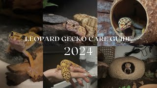 Leopard Gecko Care Guide 2024  Rosies Reptiles [upl. by Aibonez]