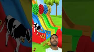 Long Slide Game With Elephant Gorilla Cow Fox Horse Lion Hippopotamus Tiger 3d Animal Game [upl. by Marlene]