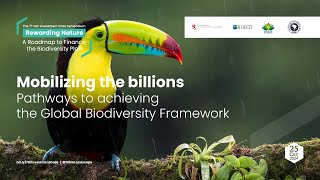 Mobilizing the billions Pathways to achieving the Global Biodiversity Frameworkdraft [upl. by Lorrin166]