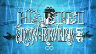 HABIBI DRIP  SLOWREVERB  DABZEE  RIBIN RICHARD  NIVIN POULY [upl. by Ena]