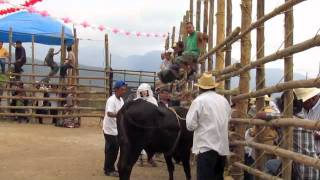 Jaripeo 2011 San Meteo Cajonos Parte 15311 [upl. by Urion]