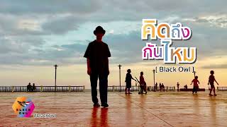 เพลง  คิดถึง กันไหม  Black Owl  Thai [upl. by Peltz]