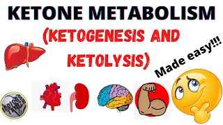 Ketone metabolismketogenesisketolysisRegulation of ketone metabolismmedicos tamizhatamil [upl. by Inait50]