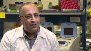 Breakthrough Cancer Research from Technion Professor Yehuda Assaraf [upl. by Margarida]