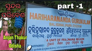 Hariharananda Gurukulam 2024  Balighai Puri  Odisha [upl. by Ecitsuj]