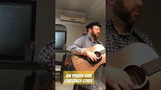 Am Yisrael Chai Carlebach cover [upl. by Nidnal]