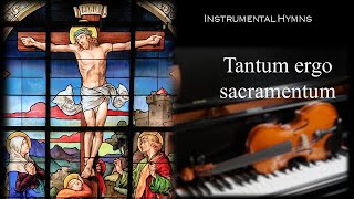 Tantum ergo sacramentum J S Bach  OrganViolin Cover [upl. by Eiraminot604]