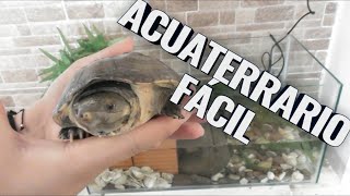 Acuaterrario para Tortugas muy fácil y Decorativo [upl. by Hughes]