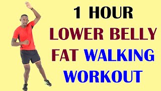 1 Hour LOWER BELLY FAT Walking Workout at Home 🔥 7000 Steps  550 Calories 🔥 [upl. by Ahsein]