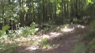 Traverse City Triathlon Run Course Trail [upl. by Germann369]