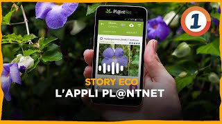 LAppli PlntNet [upl. by Effie]