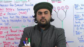 LEC  6  Characteristics of Psilopsida  Kingdom Plantae  1st year Biology  By LEC Sajjad khan [upl. by Irrak]