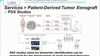 PatientDerived Tumor Xenograft PDX [upl. by Aeduj]