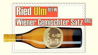 Wiener Gemischter Satz DAC Ried Ulm 1ÖTW – Weingut Wieninger [upl. by Weidar]