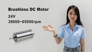 High Efficiency Slotless BLDC Motor For Medical Orthopedic Power Tools Constar [upl. by Sinnal]