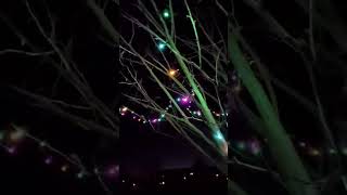 Weihnachtsbeleuchtung im Garten garden christmas xmas video slowmotion music KlemmbauKids [upl. by Adnamal]