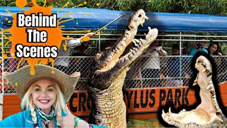 Behind the Scenes at Crocodylus Park [upl. by Aened]