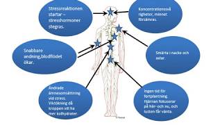 Stress och stresshantering [upl. by Silrak]