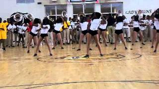 WILLIAMSON LIONETTES 2011 PEP RALLY [upl. by Rika]