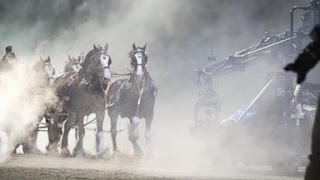 Super Bowl Ad  Inside Iconic Clydesdale Budweiser Commercial [upl. by Ys]