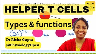 Helper T cells types and functions physiology of immune system mbbs 1st year  Acquired immunity [upl. by Beasley]