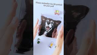 Fading Sight Enduring Love A Dogs Last Days dog present gift dogdad doglover doglife pet [upl. by Gisela]