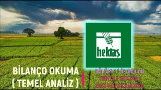 Hektaş 2023 Yılı Bilanço  Detaylı Bilanço Okuma Dersleri1 [upl. by Ennoval]