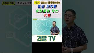 건달TV 젊고 탱탱한 피부를 유지시켜주는 식품녹차토마토건달TV건강정보 [upl. by Lipman711]