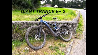 Giant Trance X E 2 Pro 29 EMBT 11 Months On [upl. by Xer]