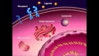 Introduction to Cancer Biology Part 1 Abnormal Signal Transduction [upl. by Alsi]