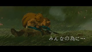 quotFor Our Friendsquot Zelda BotW Combat Montage [upl. by Nrehtac747]