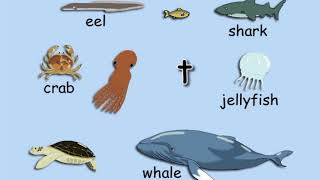 Altogether English by Peter Weatherall Sea Creatures [upl. by Krilov]