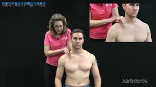 Shoulder Subcoracoid impingement test [upl. by Orteip]