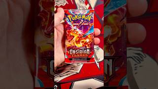 Illustration Rare Pokemon Obsidian Flames Scarlet and Violet pokemon pokemoncards pokemontcg [upl. by Kared]