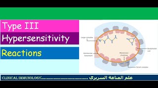 Lecture 6  Type III Hypersensitivity [upl. by Anahsit]