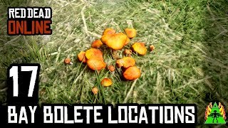 Red Dead Redemption 2 ONLINE  BAY BOLETE LOCATIONS [upl. by Helbonnah]