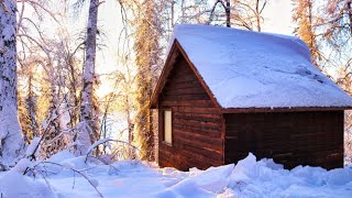 Off Grid Cabin in the Alaskan Wilderness [upl. by Hull]